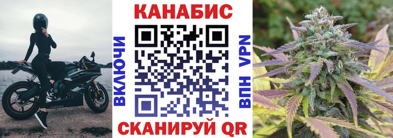 Бошки марихуана Amnesia Олонец